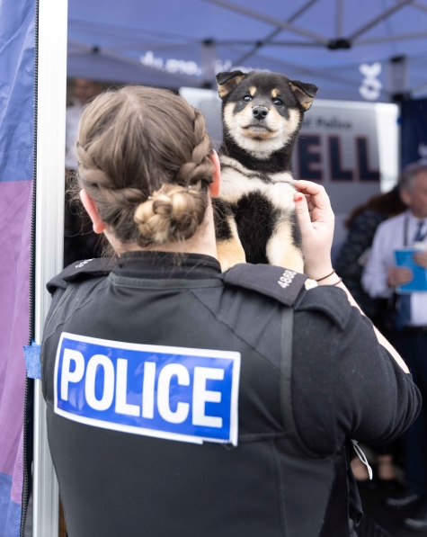 The wellbeing dogs and puppies visit Merseyside Police for Mental Health Awareness Week